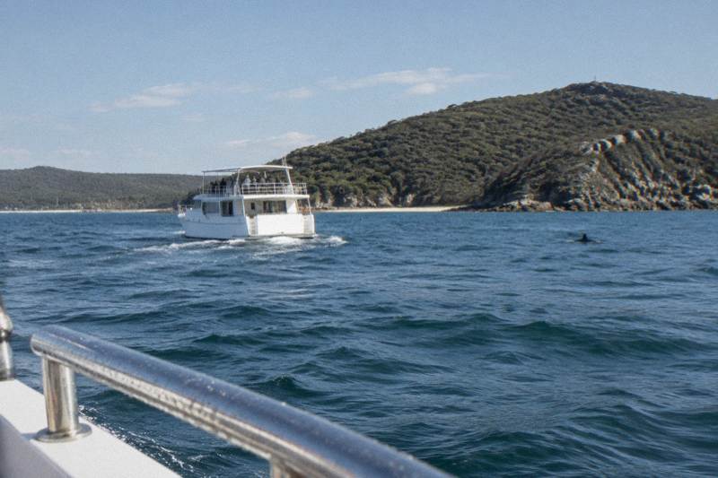 Big Boat Cruise, Boom Net in Port Stephens