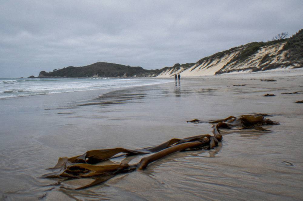 Long empty beach backed by tall sand dunes under a wide sky with no swimmers in the water
