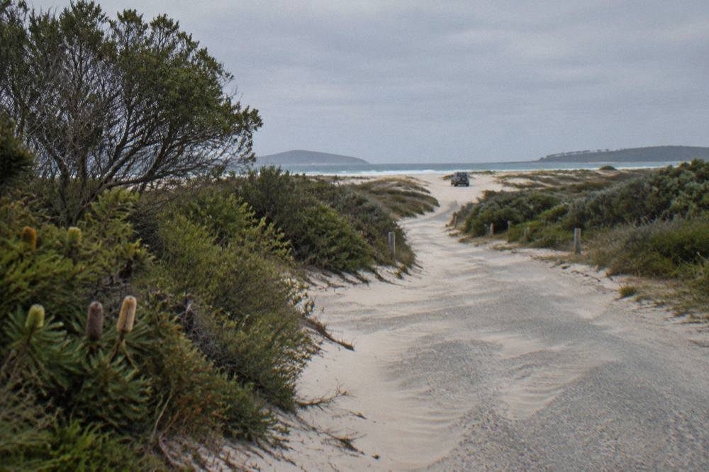 A gravel track leading from coastal scrub toward open sand dunes with a parked four wheel drive in the distance
