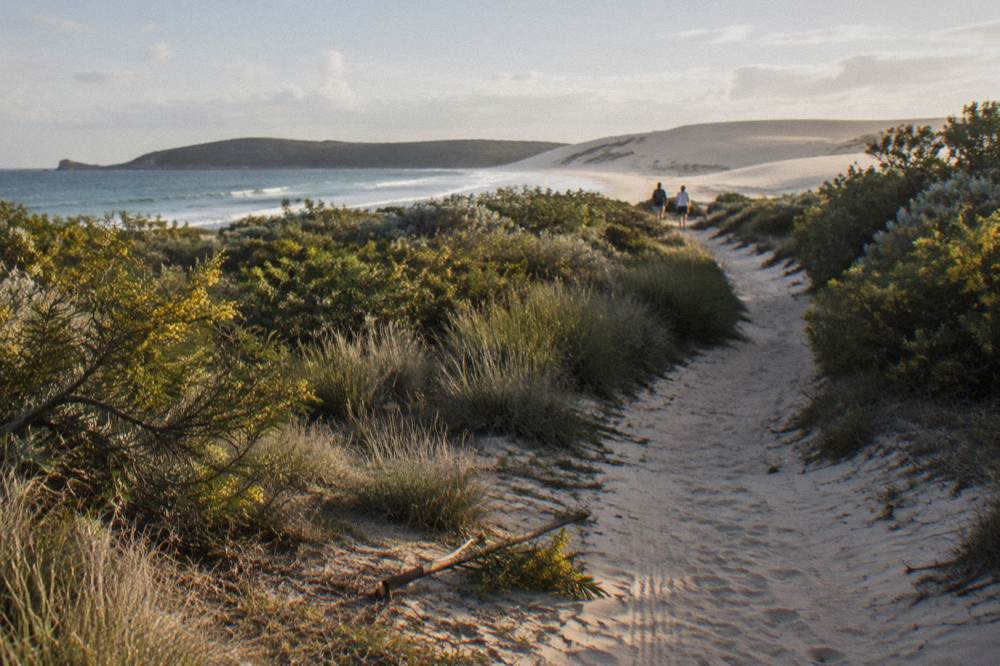 A sandy walking path curving through low coastal vegetation toward pale open dunes