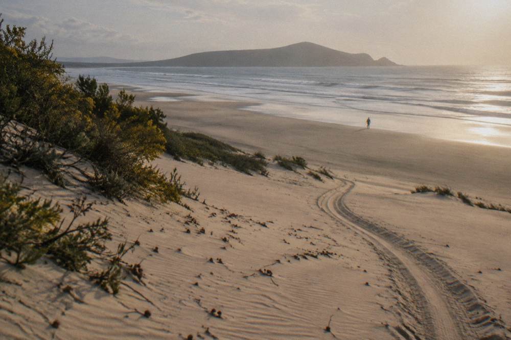 A wide sandy slope on the Stockton Bight dunes with a 4WD track curving toward the beach