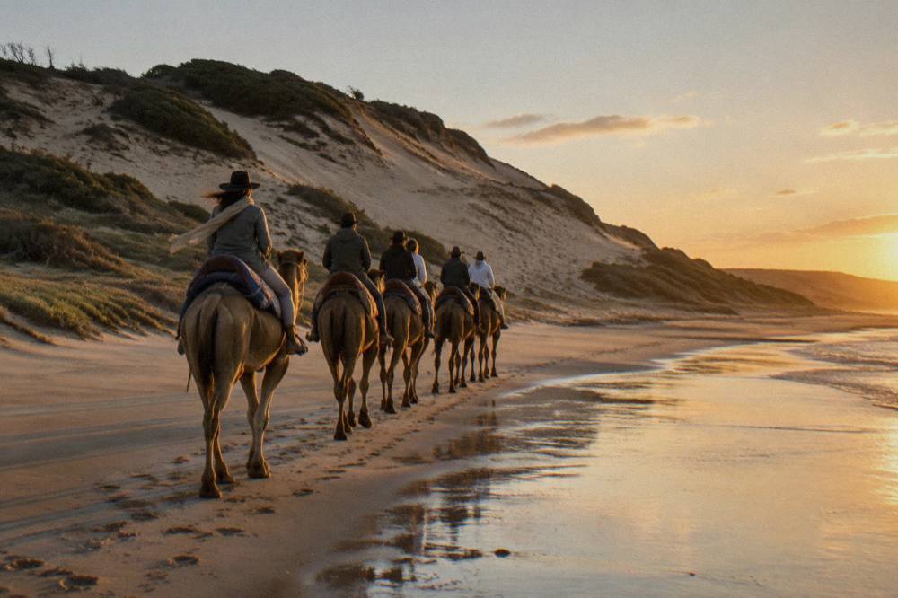 A line of camels and riders walking along the sand at the base of a tall dune