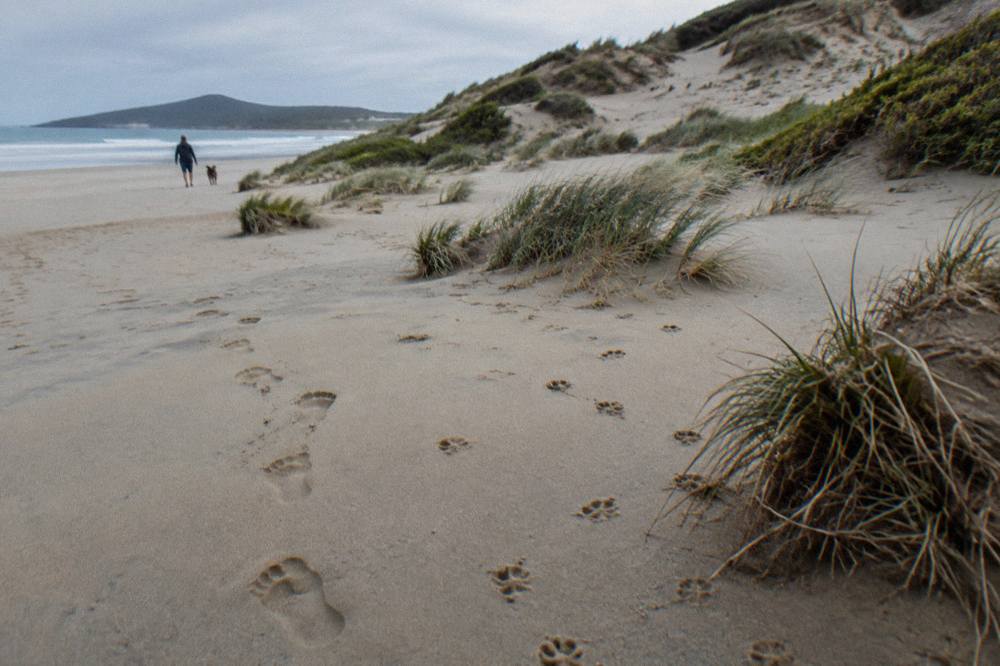 Footprints leading across pale sand toward a rising dune ridge at Birubi Point