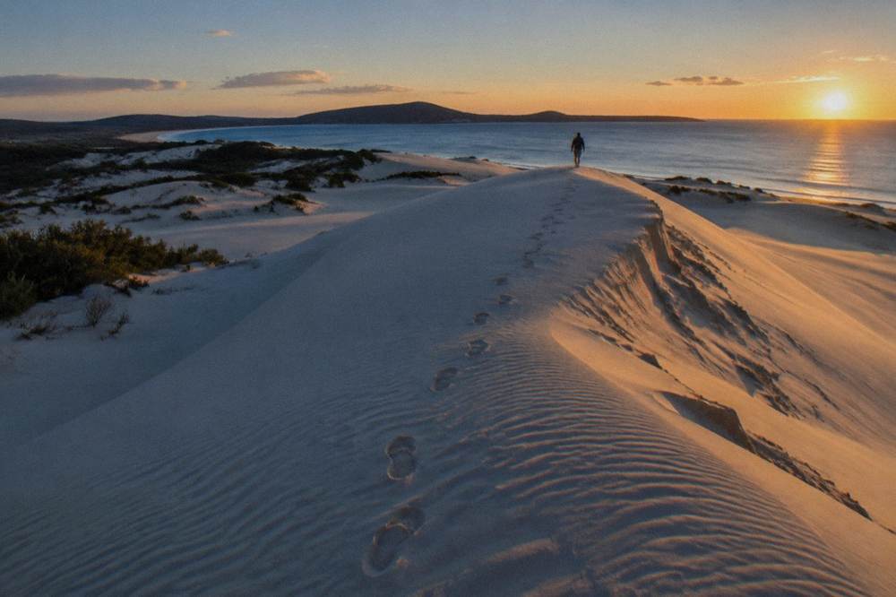 Golden sand dunes at sunset with long shadows across the ridgelines at Stockton Bight
