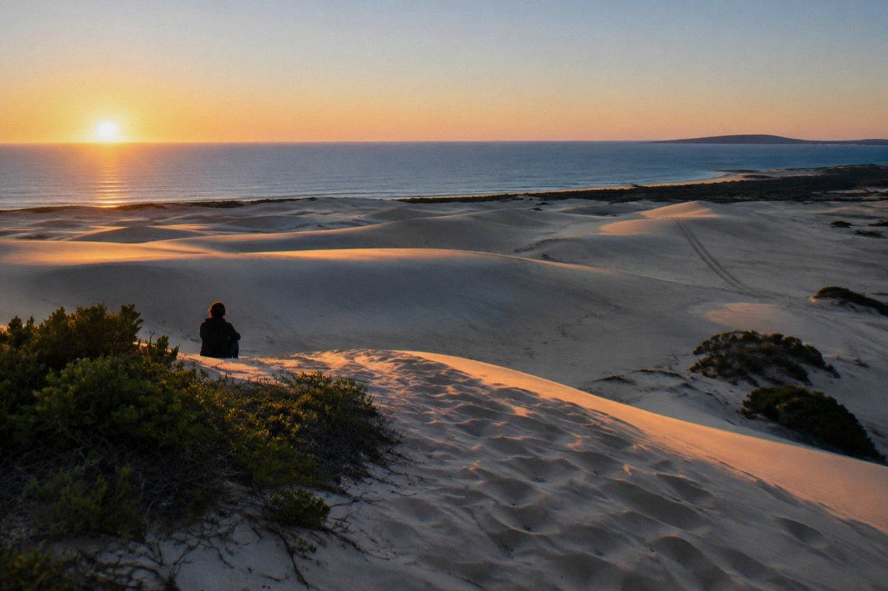 Wide view of tall sand dunes along the Stockton Bight coastline under a clear sky