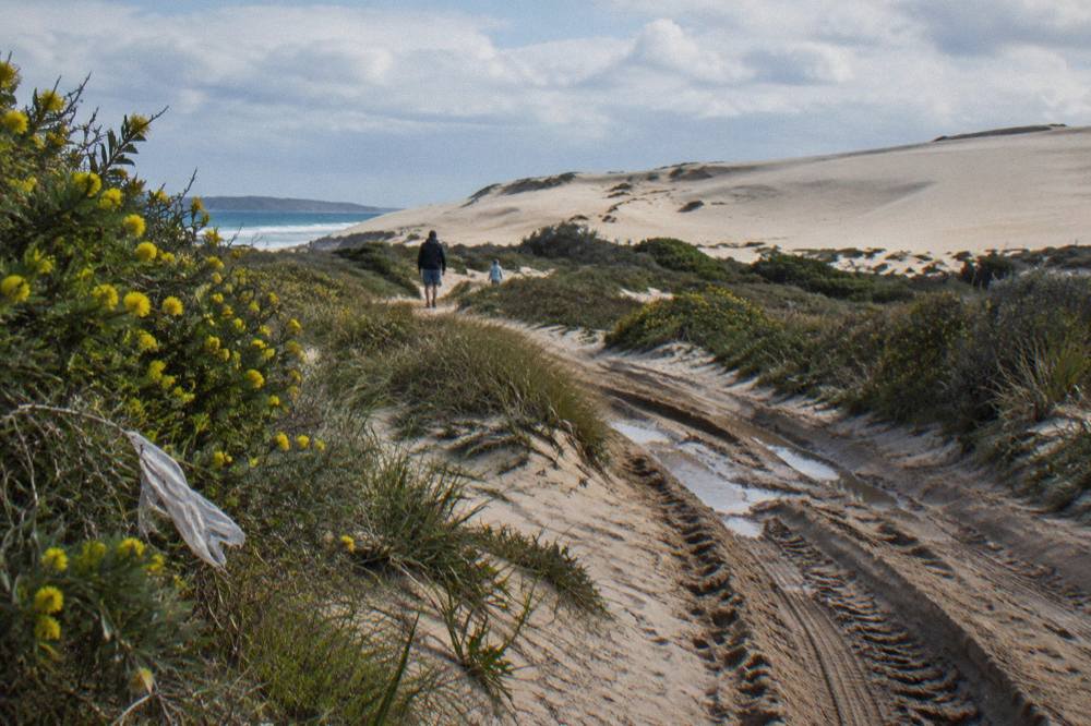 A sandy track leading through low coastal vegetation toward large open sand dunes
