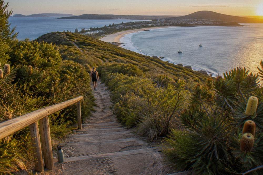 Walking track climbing a green headland above a curved bay at golden hour