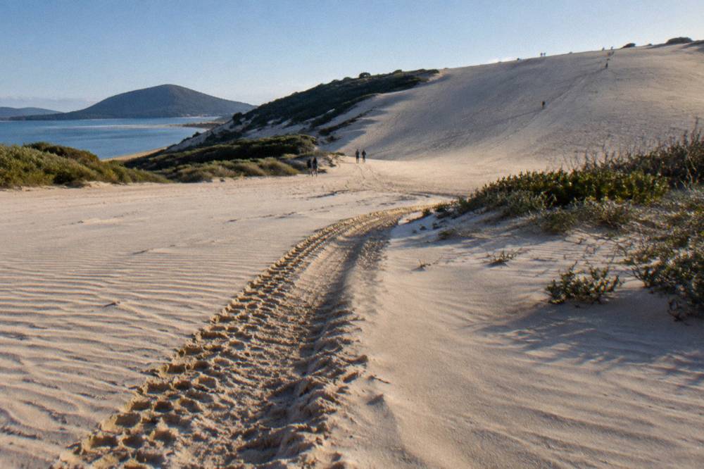 A four wheel drive vehicle track crossing low dunes toward a sandboarding slope