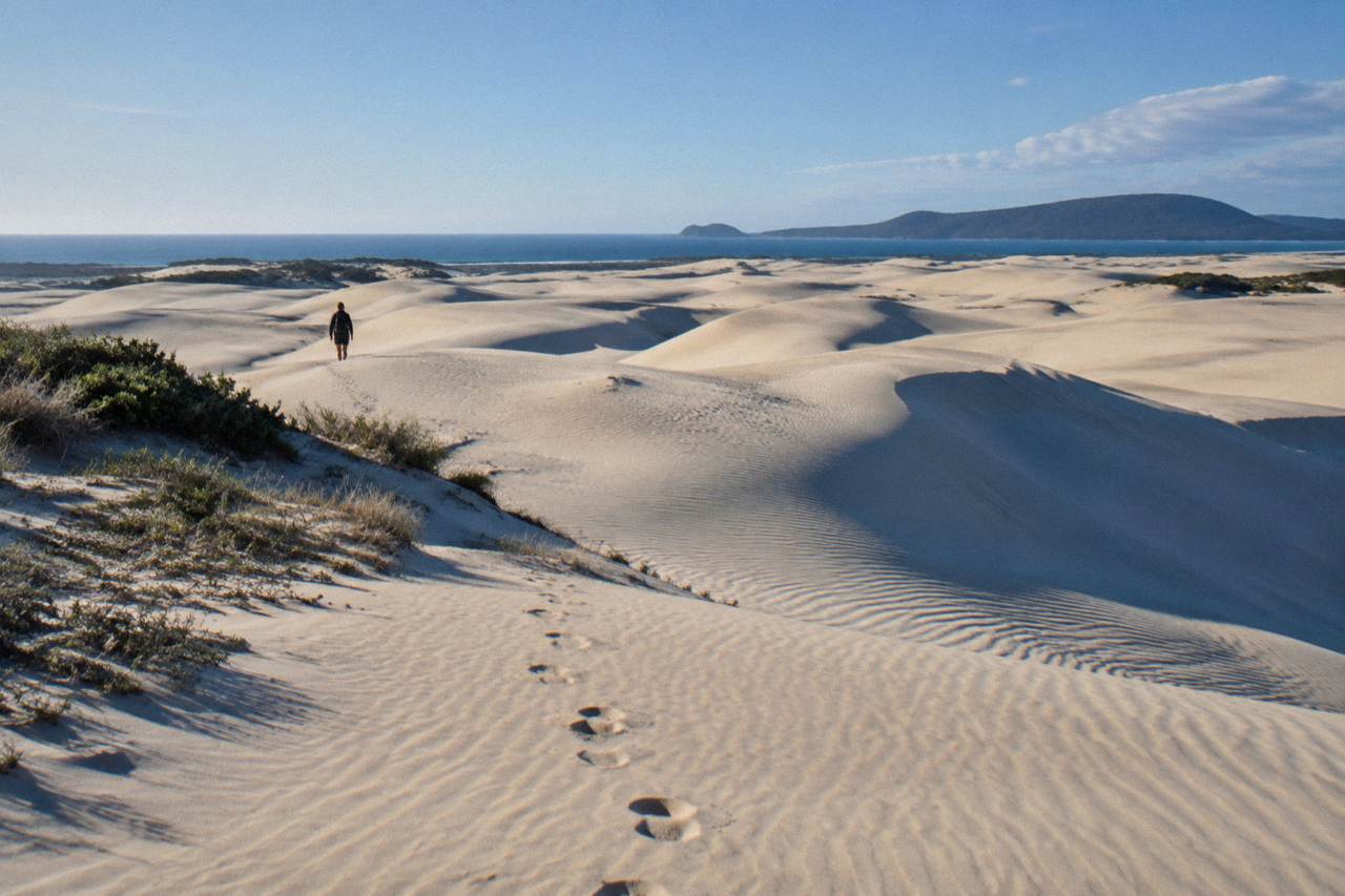 Wide view of the Stockton Bight sand dunes at Anna Bay under a clear sky