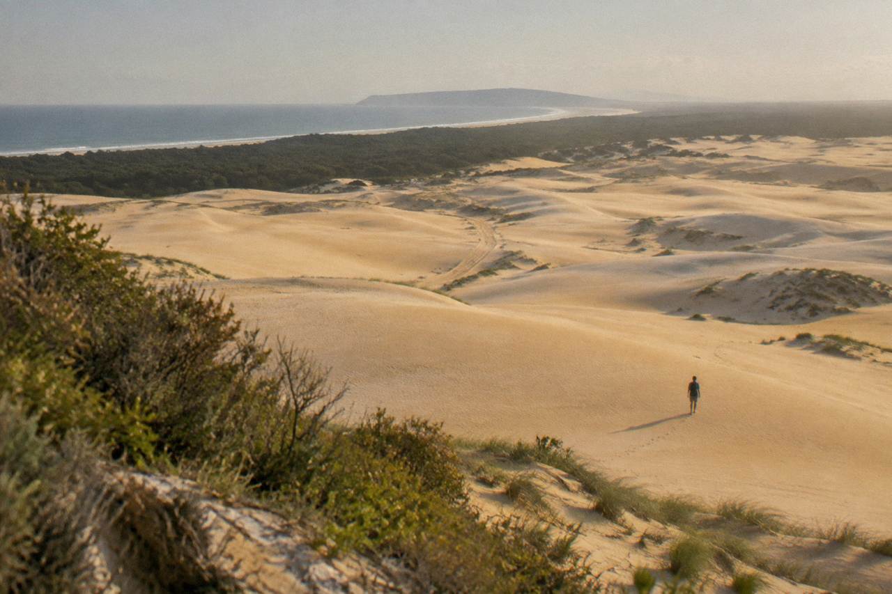 Wide view of the Stockton Bight sand dunes near Anna Bay under a clear sky