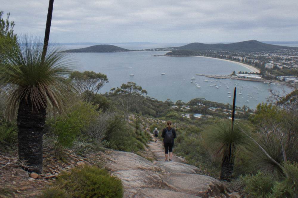 A steep walking track climbing a green headland with a wide bay view below