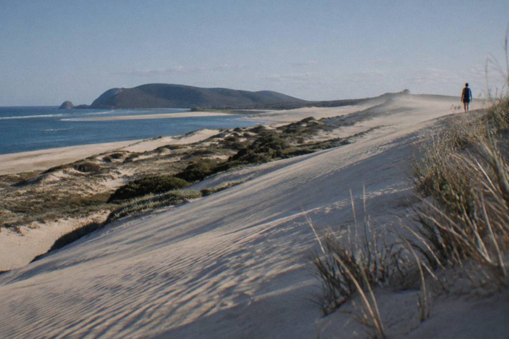 Sand dunes at Stockton Bight under a mild clear sky with soft morning light