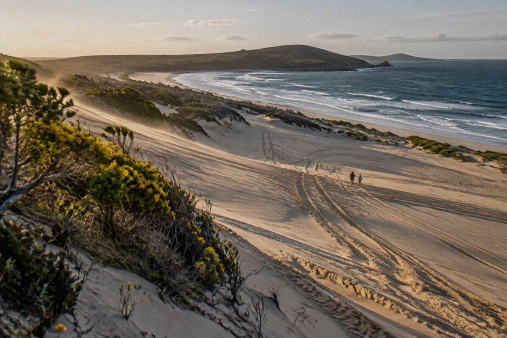 Quad bike tyre tracks crossing a wide sand slope at Stockton Bight