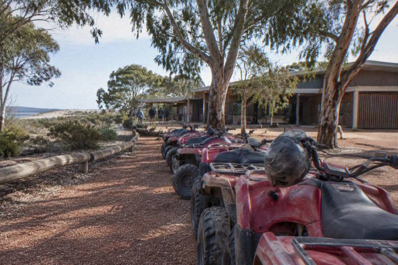 Quad bike tours on the Stockton Bight sand
