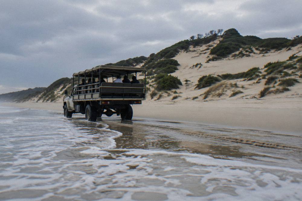 A four wheel drive tour vehicle with rows of seats driving along firm wet sand beside rolling dunes