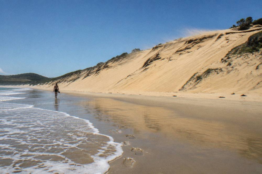 Golden sand dunes meeting a wide empty beach under a clear sky