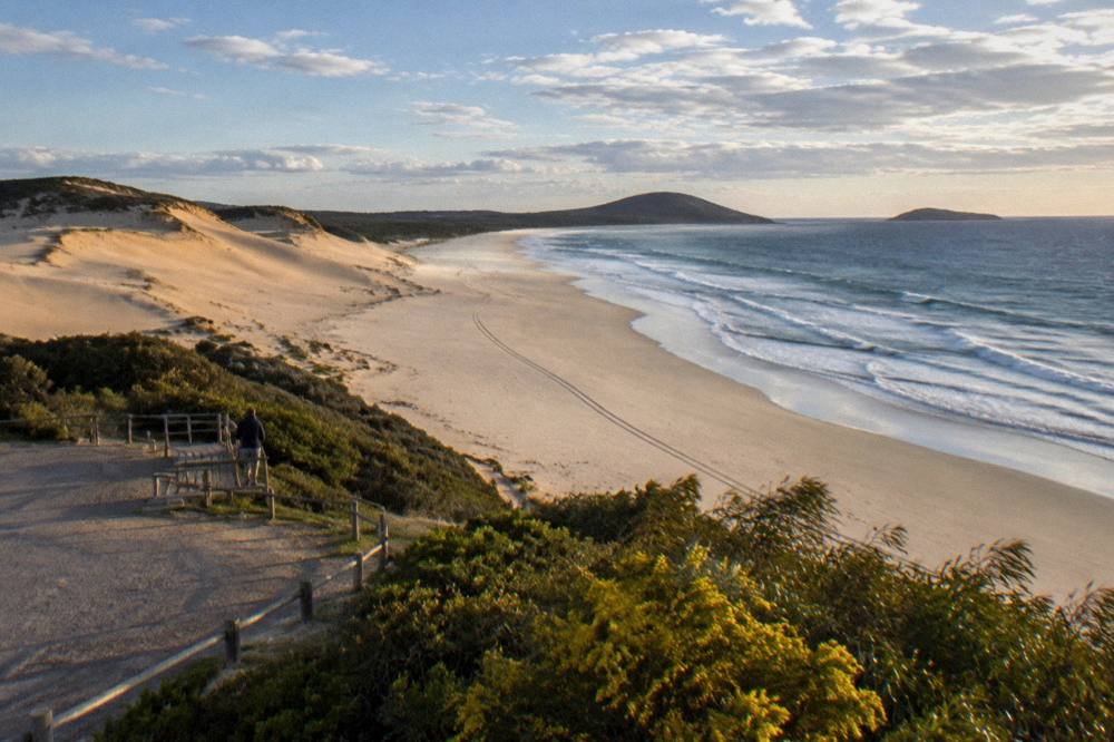 A wide view of dunes, beach and headland under scattered clouds in late afternoon light