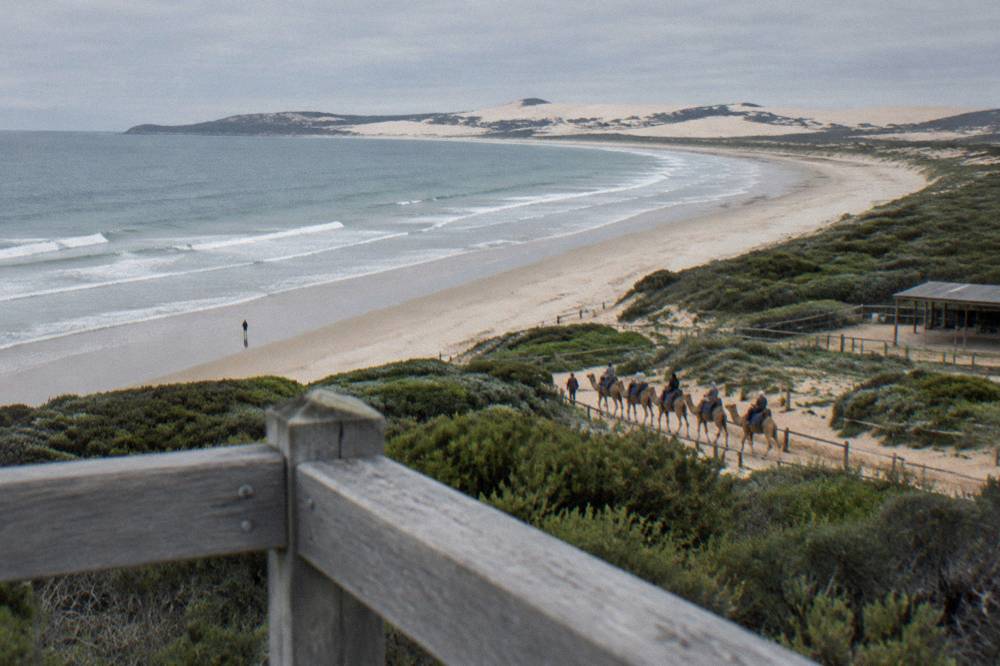 A headland viewpoint above a wide beach with a long sweep of sand dunes beyond