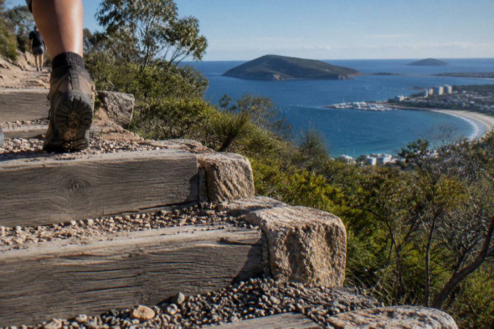 A stone and timber summit track climbing a green headland above a blue bay
