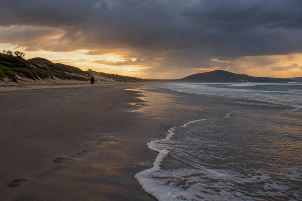 Empty beach with dark wet sand and low afternoon light