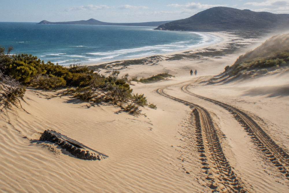Quad bike tyre tracks curving across a broad sand dune face