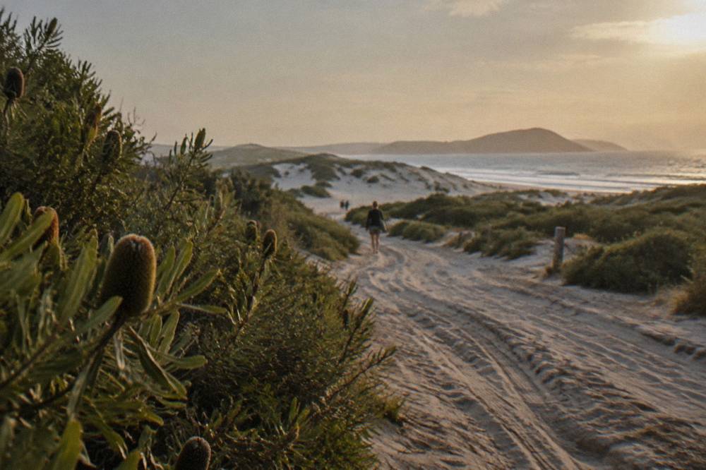 A coastal road lined with low scrub leading toward sand dunes under a bright sky