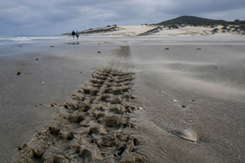 A single set of quad bike tyre tracks running along wet sand toward distant dunes