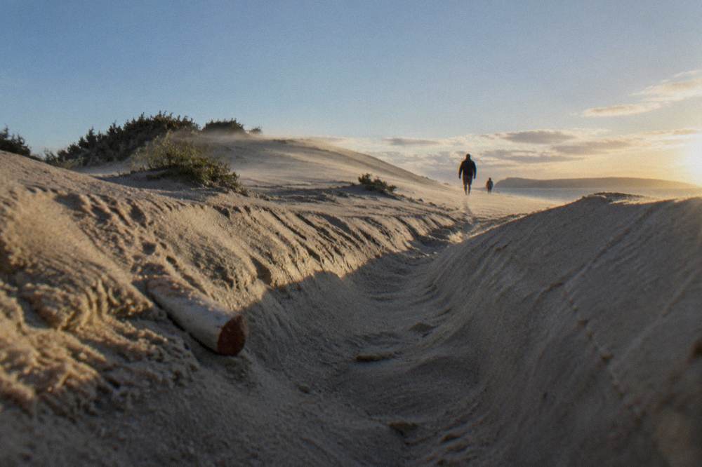A smooth steep dune face with a long slide groove carved into the sand