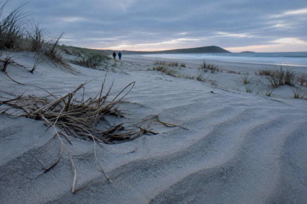 Low morning light across ridged sand dunes with wind-carved ripples