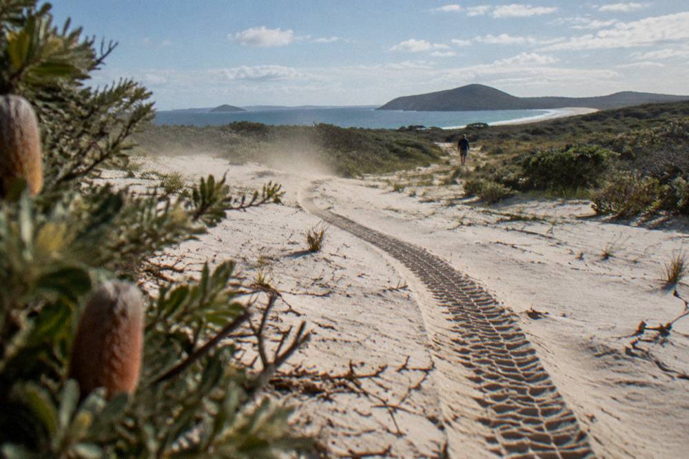 A quad bike track curving across an open dune slope