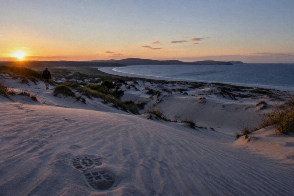 Sunset light over the dune field with long shadows on the sand ridges