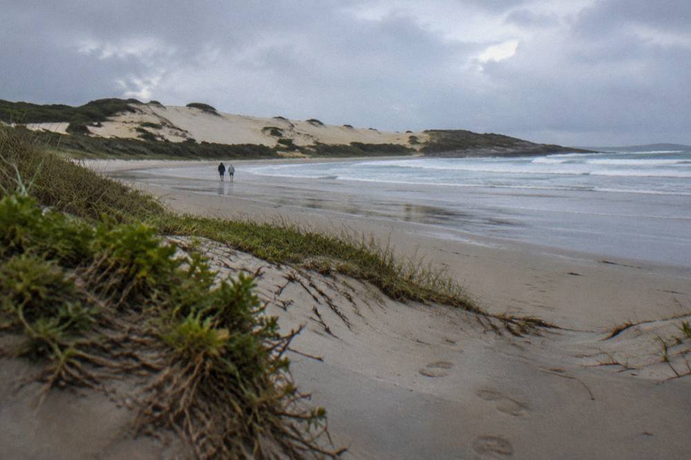 Sand dunes rising behind a coastal stretch near Anna Bay under morning light