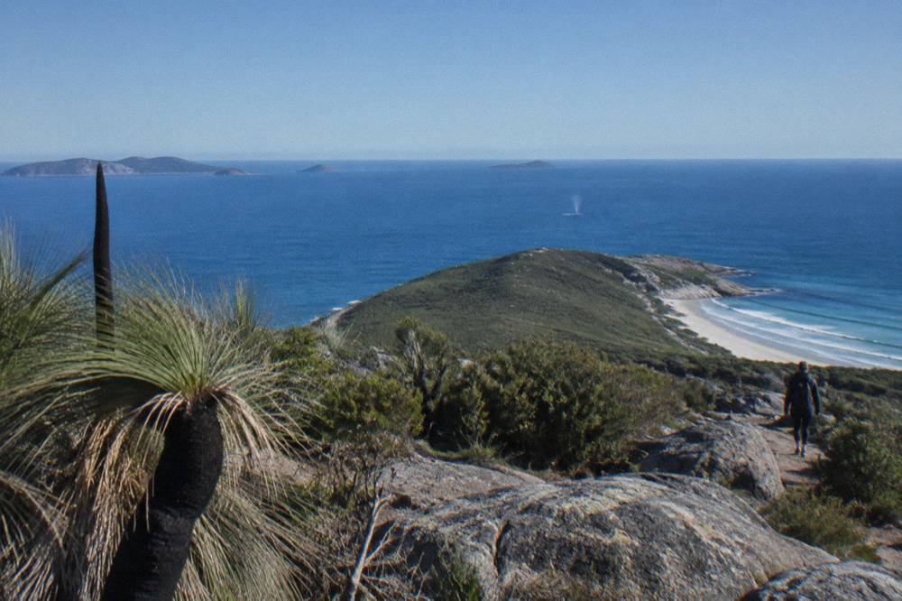 Open ocean beyond a headland on the Port Stephens coast under a wide sky
