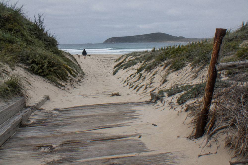 Sand dunes rising above a wooden access track leading toward the beach