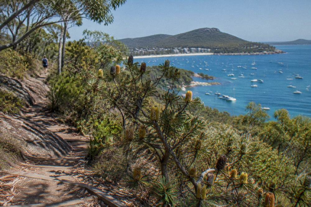 A walking track climbing a green headland above a sheltered blue bay