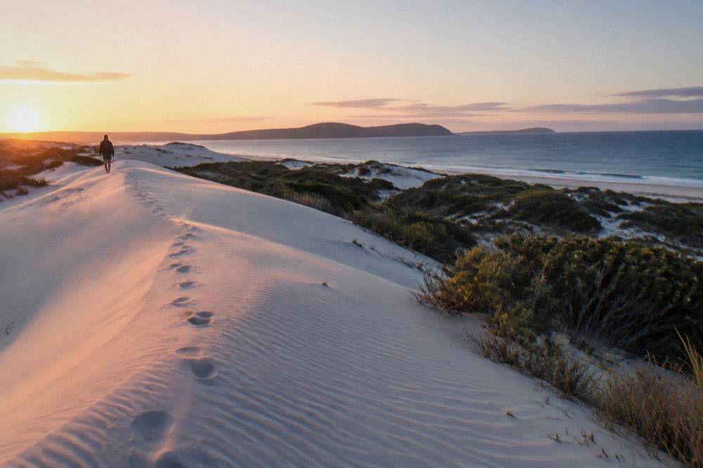 A wide stretch of golden sand dunes under a clear morning sky