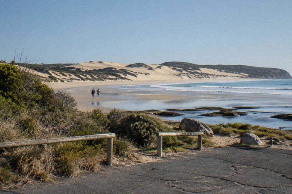Sand dunes rising behind a long stretch of open beach